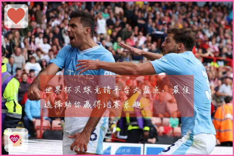 世界杯买球竞猜平台大盘点，最佳选择助你赢得比赛乐趣