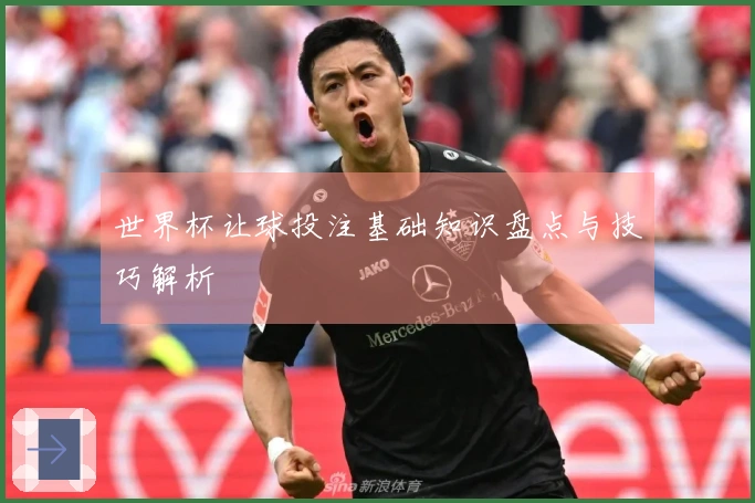 世界杯让球投注基础知识盘点与技巧解析