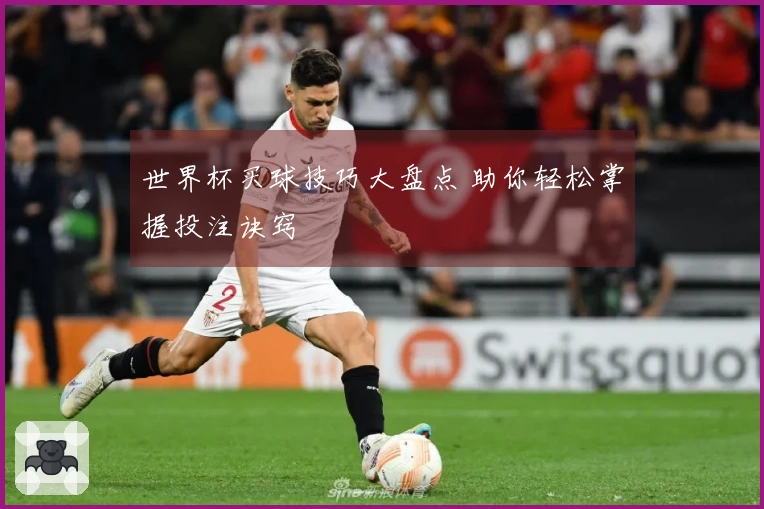 世界杯买球技巧大盘点 助你轻松掌握投注诀窍