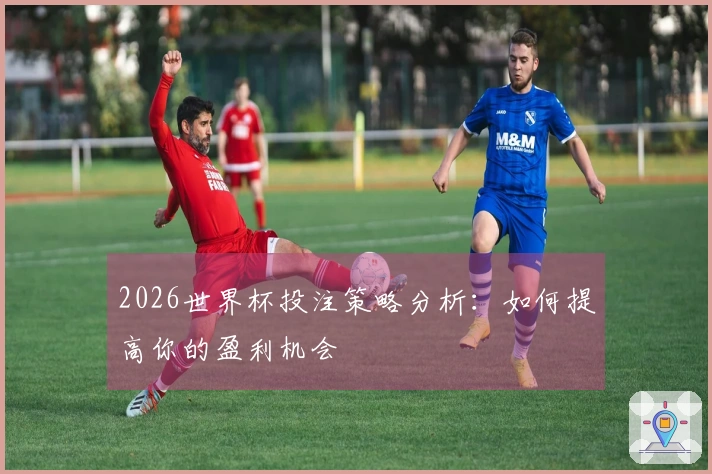 2026世界杯投注策略分析：如何提高你的盈利机会