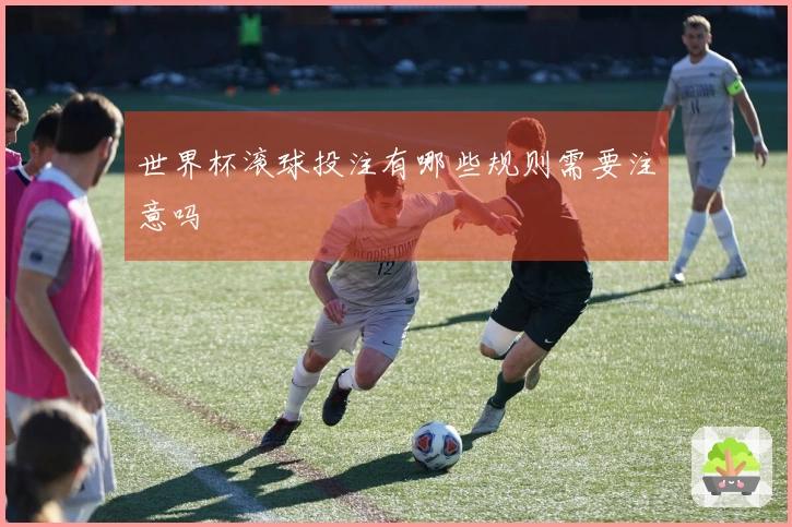 世界杯滚球投注有哪些规则需要注意吗