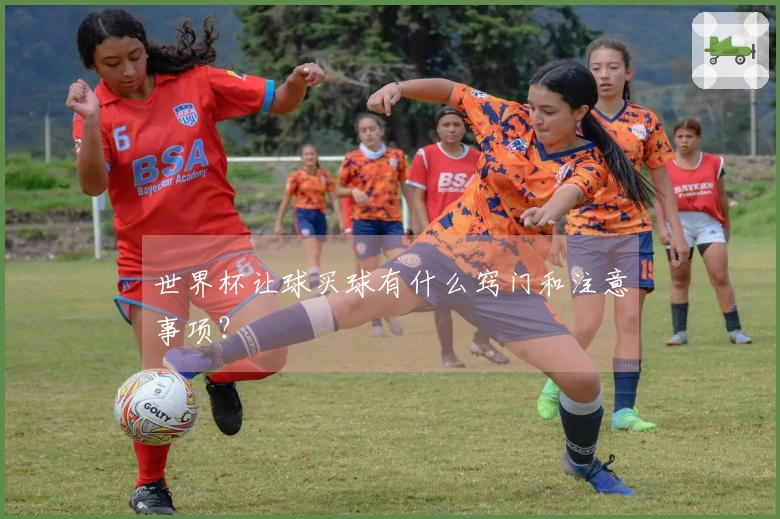 世界杯让球买球有什么窍门和注意事项？