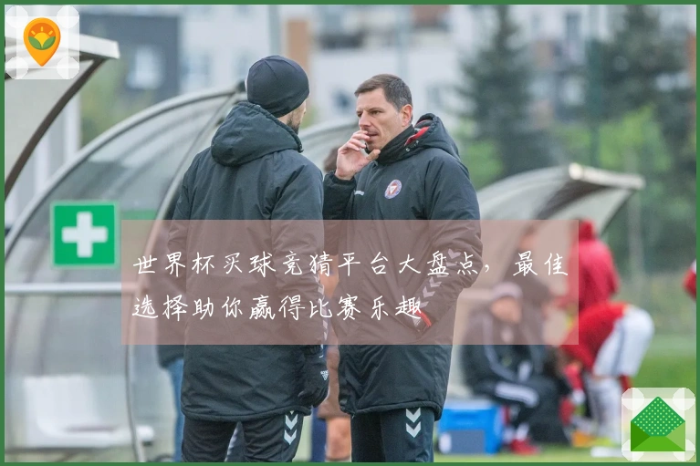 世界杯买球竞猜平台大盘点，最佳选择助你赢得比赛乐趣