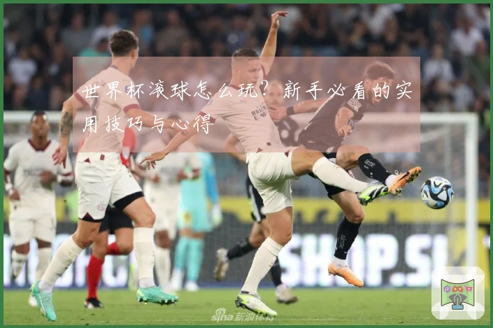 世界杯滚球怎么玩？新手必看的实用技巧与心得