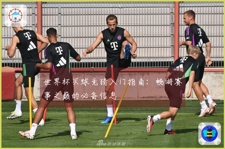 世界杯买球竞猜入门指南：畅游赛事之巅的必备信息