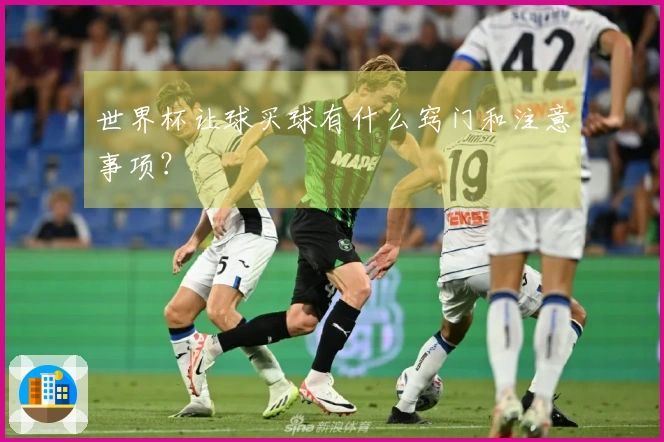 世界杯让球买球有什么窍门和注意事项？