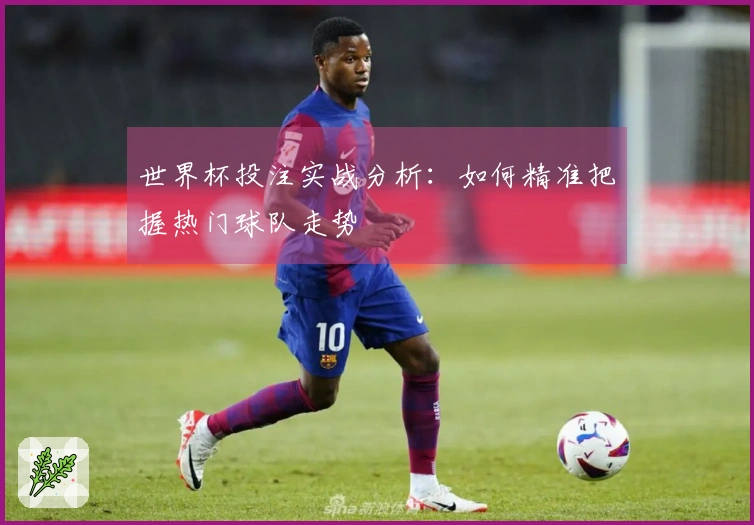 世界杯投注实战分析：如何精准把握热门球队走势