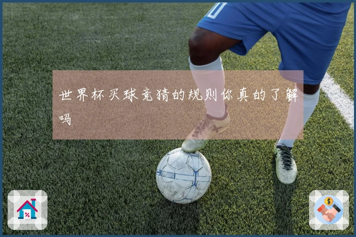 世界杯买球竞猜的规则你真的了解吗