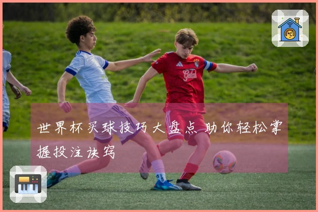 世界杯买球技巧大盘点 助你轻松掌握投注诀窍
