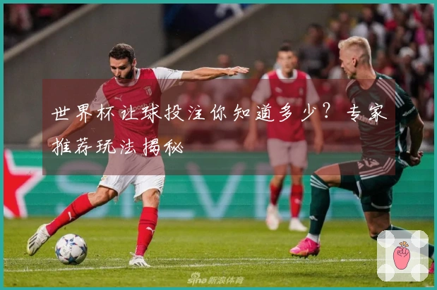 世界杯让球投注你知道多少？专家推荐玩法揭秘